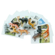 Cartes animaux Montessori, jouets éducatifs d'apprentissage préscolaire pour enfants, matériel en langue, YI3044H