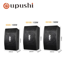 Oupushi Профессиональный семейный динамик KTV Комбинированный набор для Домашнего Караоке на открытом воздухе для выступления на сцене