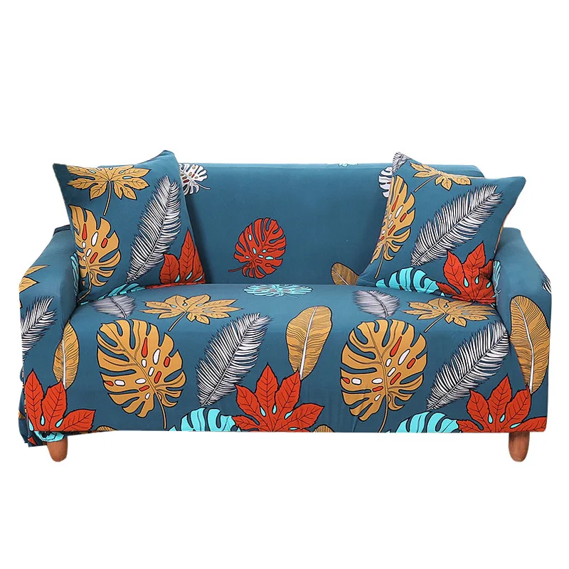 9022601544_1440474556