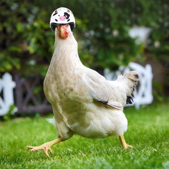 

3/2/1Pcs Chicken Helmet For Pets Funny Protective Chicken Helmet Hen Chicken Hard Hat Bird Hat Hood