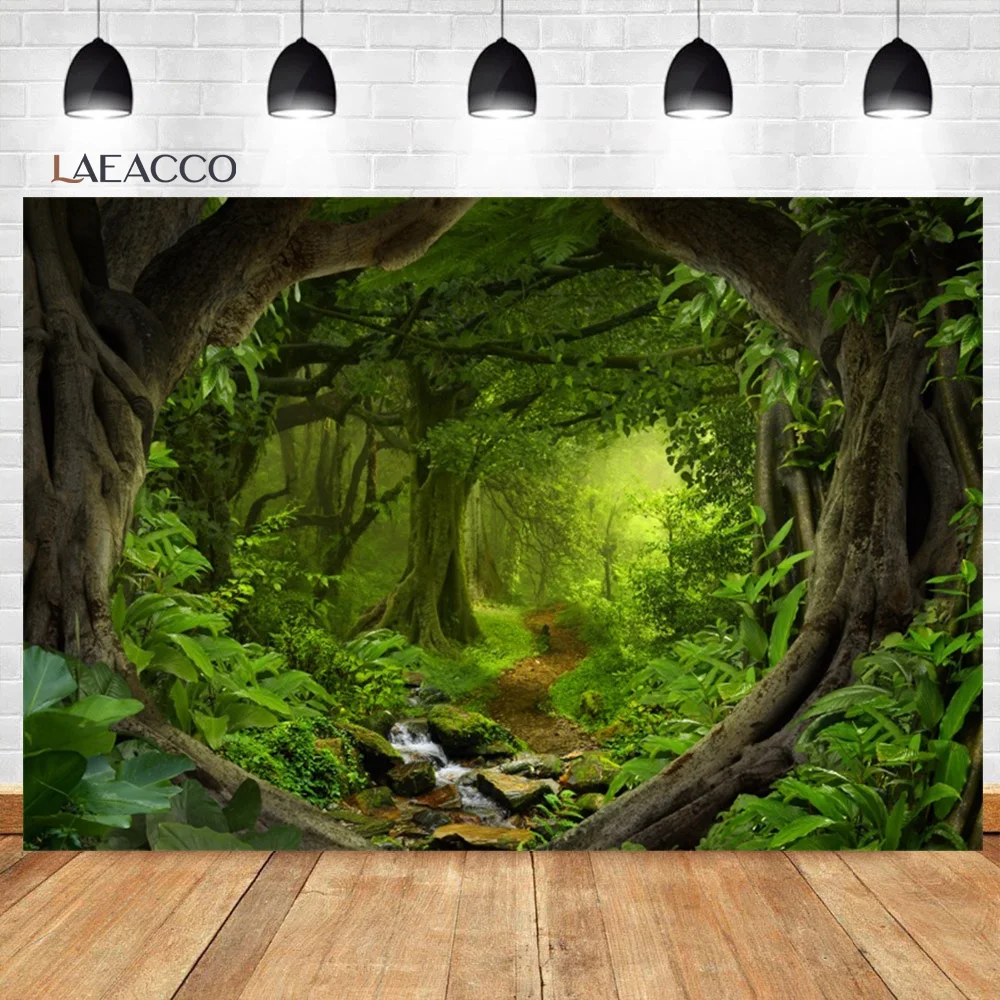 Laeacco    Ĺ  Ĺ ڿ ǳ      ʻȭ  