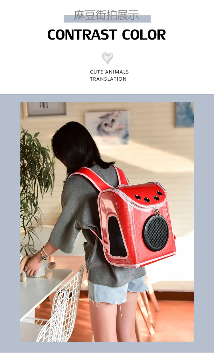 12055923575_686886075