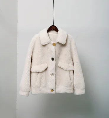 Beige Зимнее женское пальто высокого качества, пальто из искусственного меха, свободное однобортное меховое пальто, толстое теплое пальто размера плюс, женские плюшевые пальто - Цвет: Beige