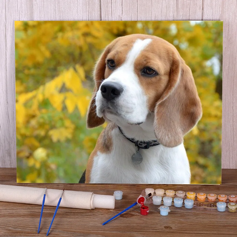 Painting Beagle Dog PaintByNumber Kits & How To