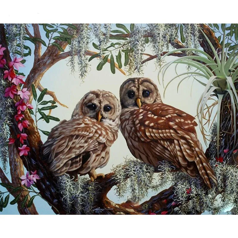 

Paint For Owl Animal Painting By Number On Canvas With Frame 40x50 For Drawing Kits Adults Picture Coloring By Number Decor Art