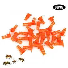 30 шт пчелиная королева Защитная крышка пластиковая пчелиная королева клетка Защитная крышка королева растение чашка пчеловодство оборудование инструмент