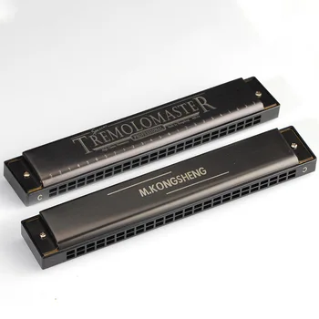 

24 Hole Tremolo C Tone Adult Students Playing Beginners Introduction Harmonica