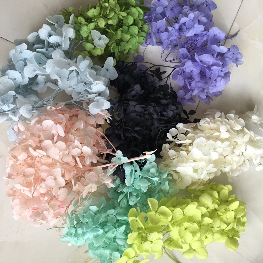 20 г/коркор. сохраненные свежие цветы маленькие листья Анны гортензии DIY Свадебные