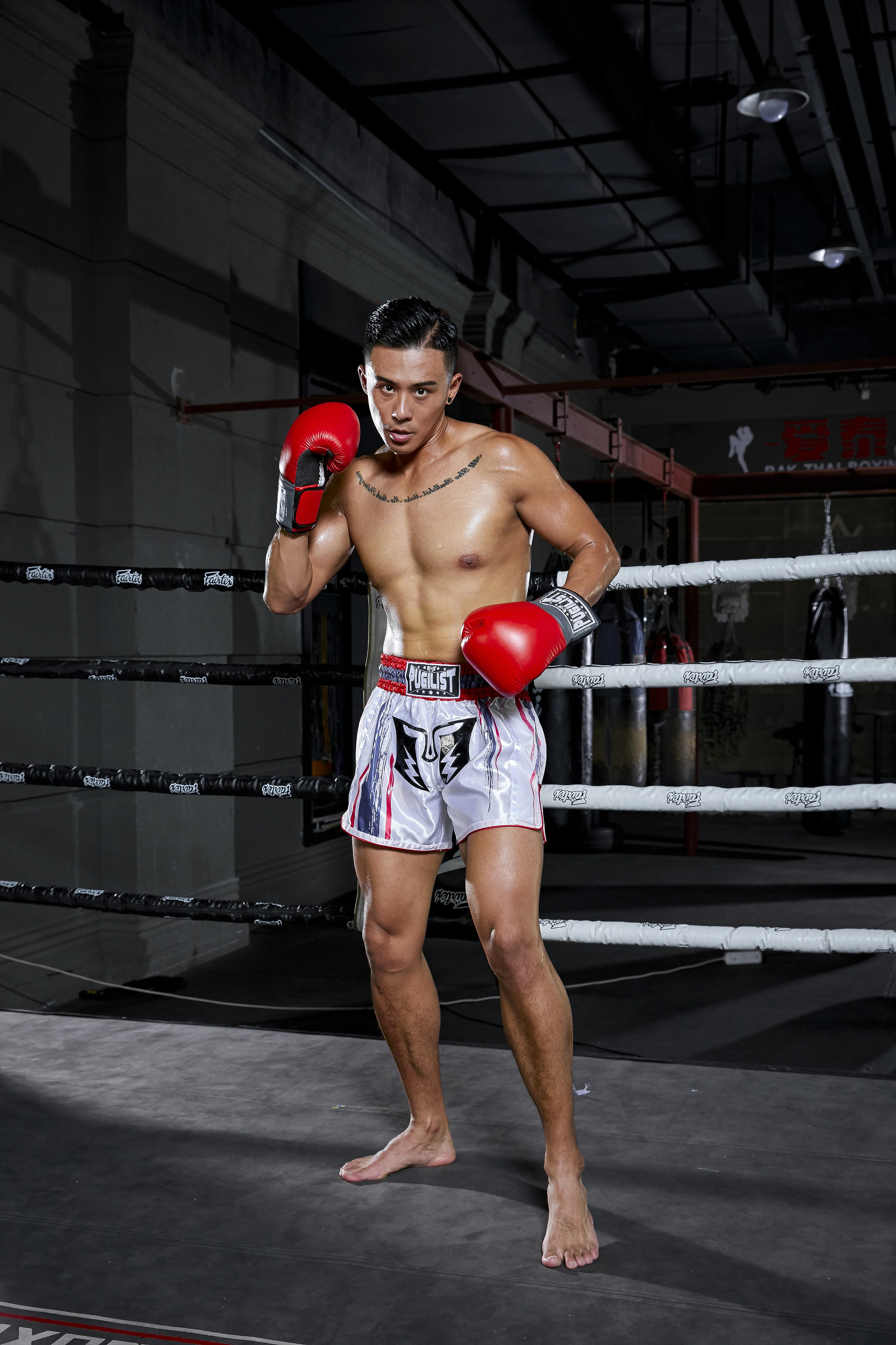 PUGILIST thai-black thai-pants шорты mma шорты для единоборств Бодибилдинг боевые искусства тренировочные боксеры