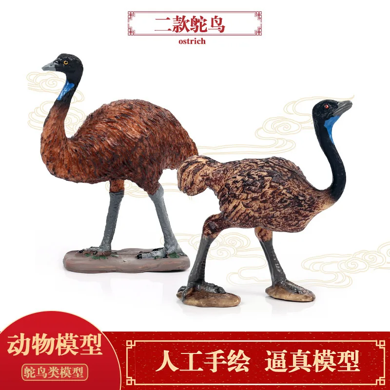Children Model Static Solid Wild Animal Model Toy Birds Ostrich Decorations And Ornaments Garage Kit Set