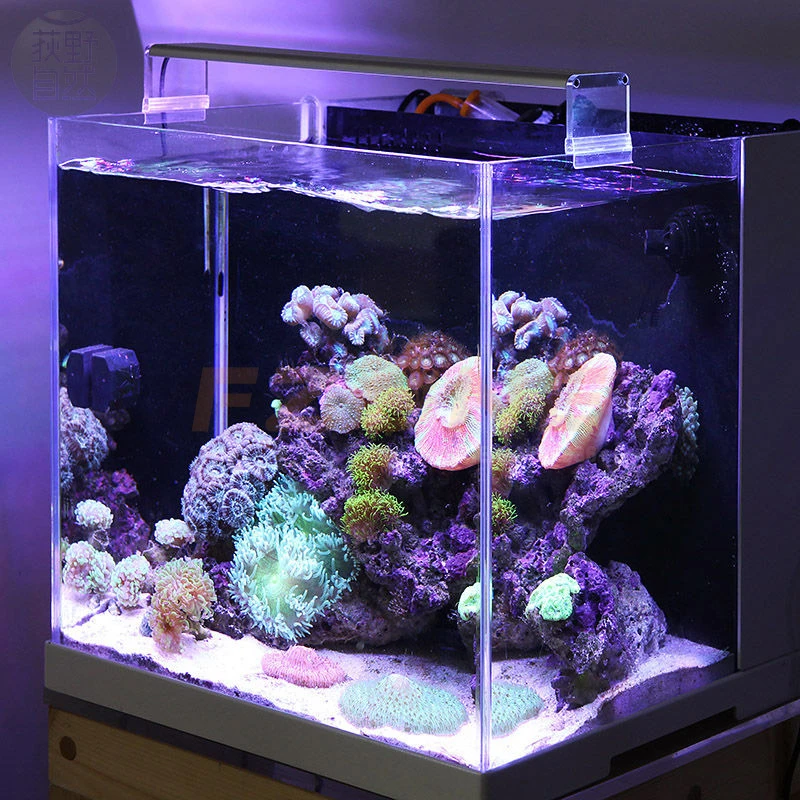 Chihiros Marine Led Lighting Lamp Aquarium Sea Coral Blue White And Brightness Color Adjustable - Lightings - AliExpress