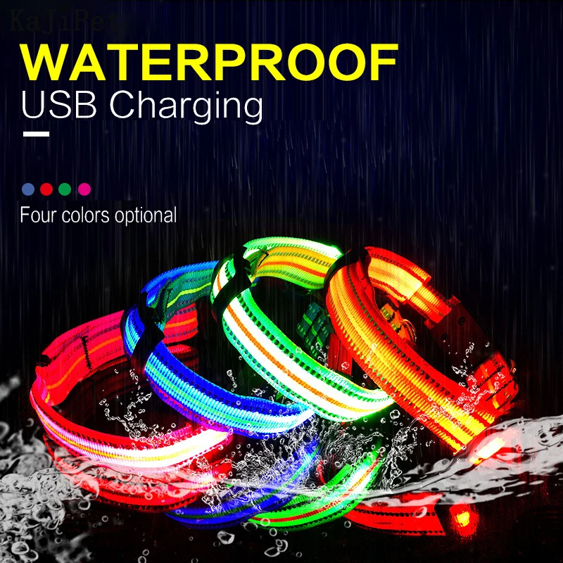 Waterproof Nylon Pet Dog Collar LED USB Rechargeable Reflective Luminous Perro Led Glowing Light Night Safety Collars | Дом и сад