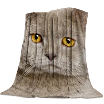 

Brown Fluffy Kitten Animal Spring and Autumn Soft Flannel Blanket Office Siesta Blanket Sofa Bed Blanket