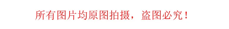 描述图(1)