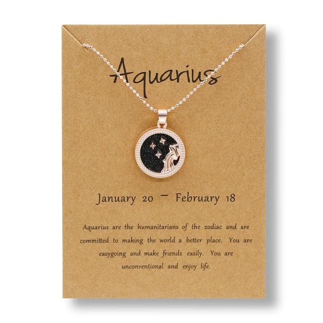 Zodiac Constellations Necklace Geometric Round Pendant Rose Gold Chain Necklace Unisex Friendship Jewelry