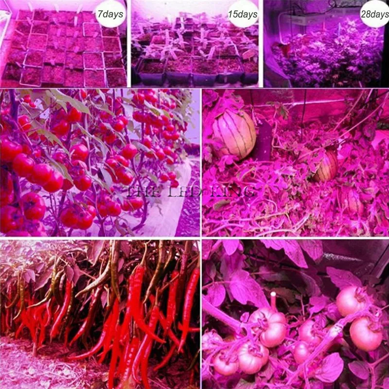 LED Grow Light E27 LED Lamp Full Spectrum 4W 50W 60W AC110V 220V Indoor Plant Lamp IR UV for Flowering Hydroponics System
