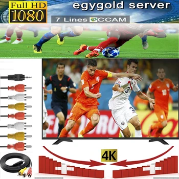 

egygold.co Spain stable 7lines for Europe support Portugal Germany Netherlands DVB-S2 satellite receiver