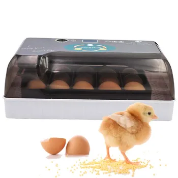 

Automatic Intelligent Egg incubator Digital Egg incubators Hatcher Large 12 eggs incubators For Chicken Duck Poultry Quail Egg