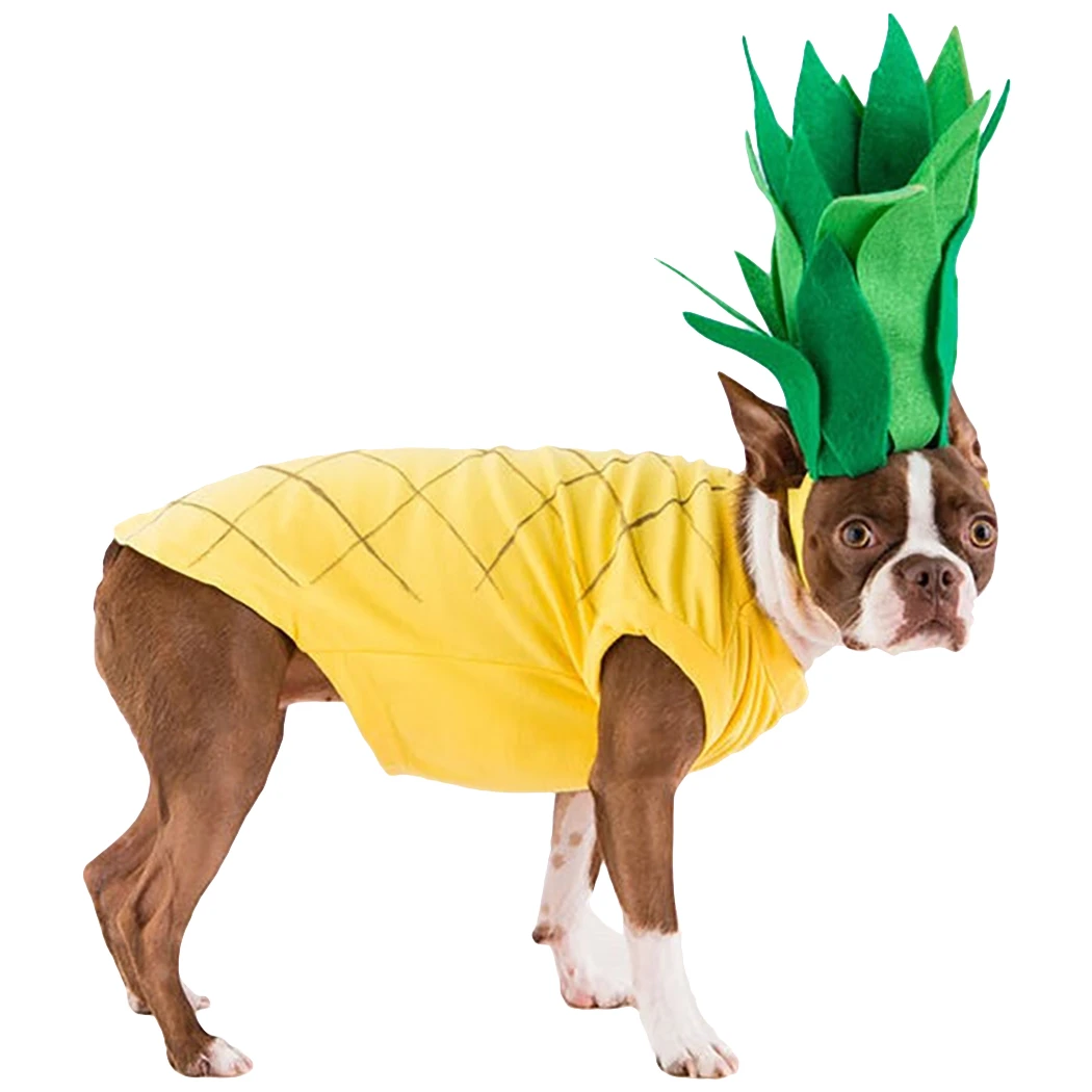 Dog dress up clothes Outlet