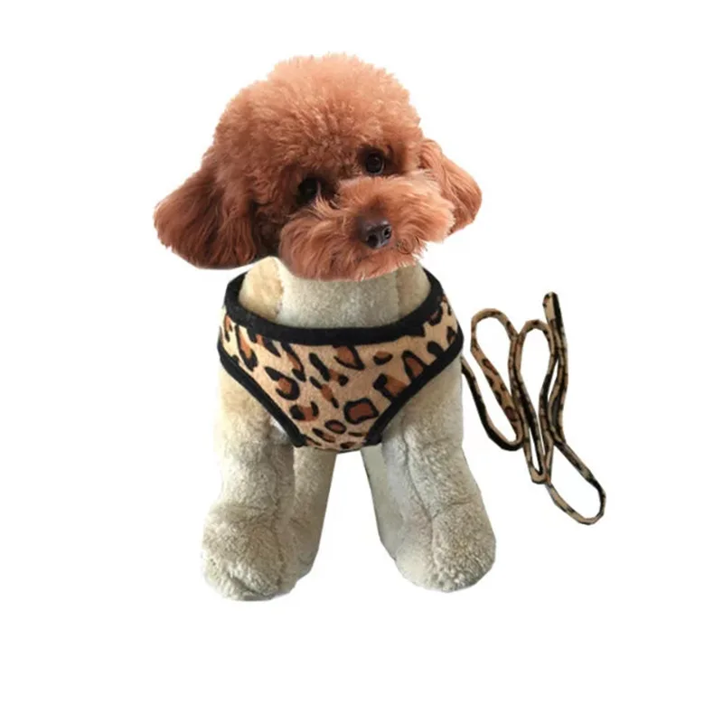 11 - 3452608890_1118553369