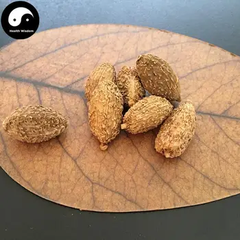 

Sha Ren, Fructus Amomi, Villous Amomum Fruit, Cocklebur-like Amomum Fruit