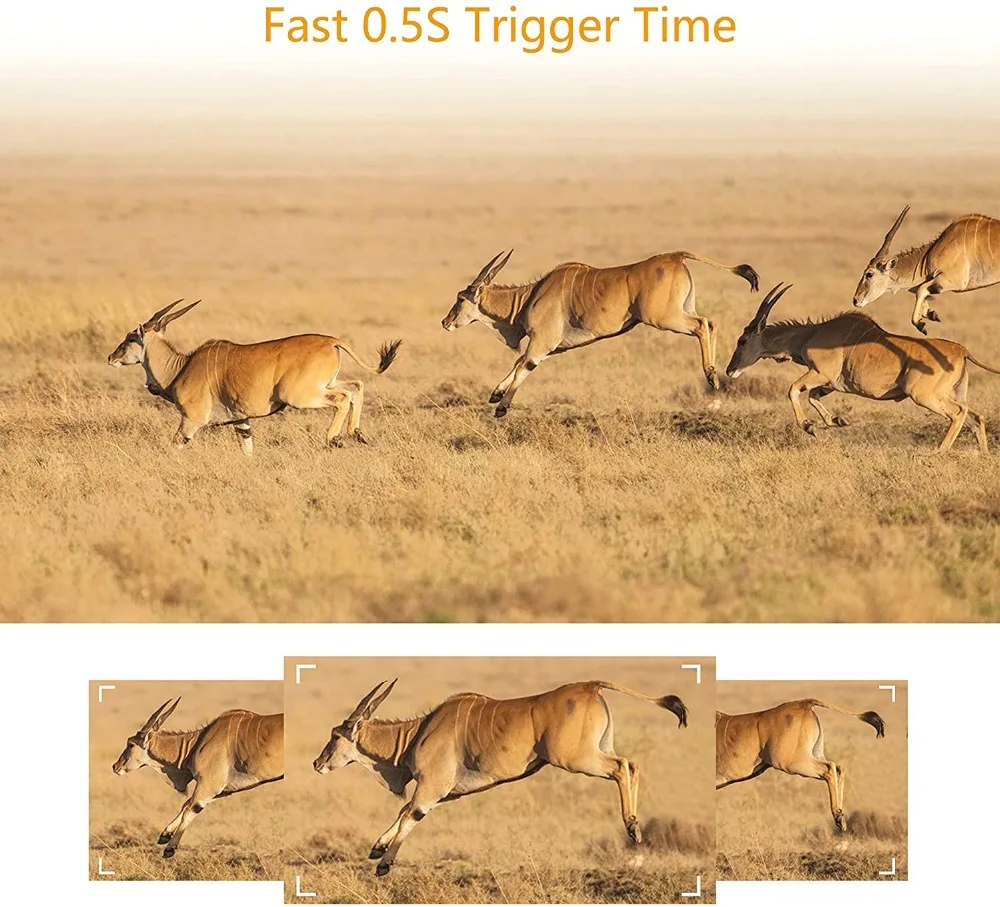 81ay3UC3JLL._AC_SL1500_