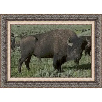 

CROSS STITCH KIT PANDATHREAD Animal 0061