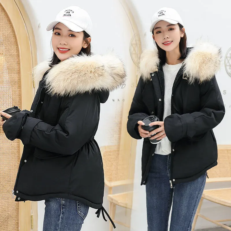 

2019 New Style Cotton-padded Clothes Women's Short Korean-style Loose-Fit Large Fur Collar down Jacket Cotton-padded Clothes Win