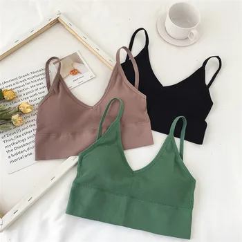 

Padded Ladies Active Bra Deep V Plunge Bras Stretchy Comfortable Women Bralette Underwear Young Lady Sexy Lingerie Daily Wear