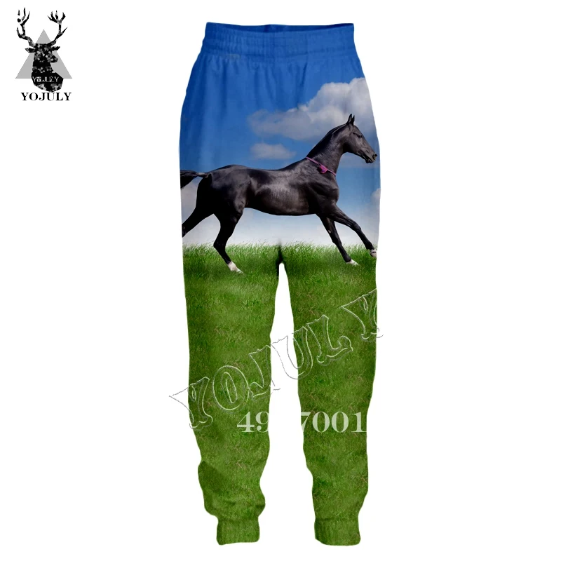 Лошадь Забавный 3D принт Харадзюку треники летние унисекс длинные штаны уличная хип хоп мужские и женские новые модные повседневные брюки L8 - Цвет: 8