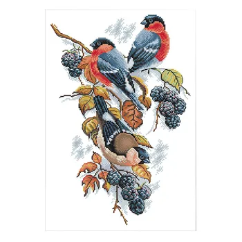 

Red Bellies pies and Blackberries Cross Stitch Kit Aida 11Ct Count Print Canvas Stitches Embroidery Handmade Needlework