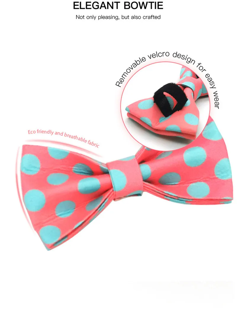 dog-collar-(45)_06