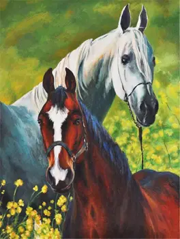 Two horses in a field painting by numbers kit Two horses in a field painting by numbers kit