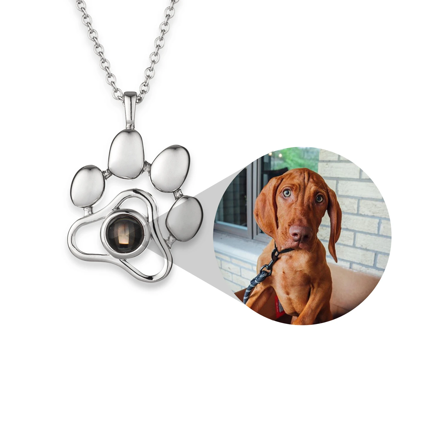 Perro dije de garra de foto personalizado proyección Collar para amantes de mascotas regalo de Plata de Ley 925 de cadena de encanto de gato pérdida Pet pérdida regalo de recuerdo|Casas,