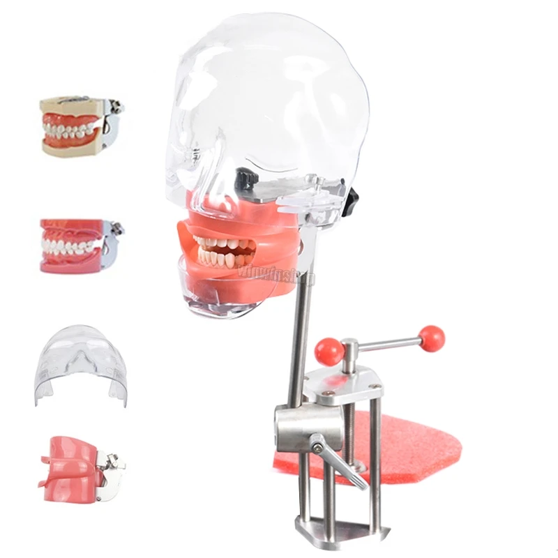 

Стоматологический симулятор манекен фантомная головка Стоматологическая фантомная головка модель с новым стилем скамейка крепление для стоматолога