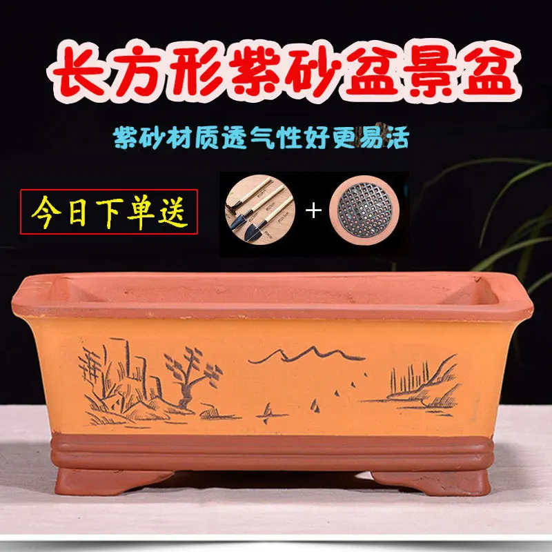 

Yixing Extra Large Rectangular Handmade Ancient Banyan Asparagus Stump Flower Green Vegetation Bonsai Pots