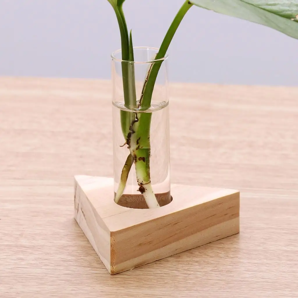 Glass Test Tube Vase in Wooden Stand Flower Pots for Hydroponic