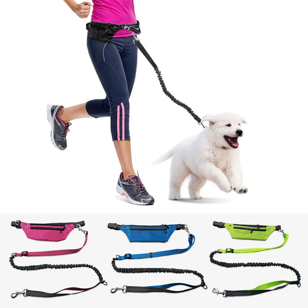 retractable waist leash
