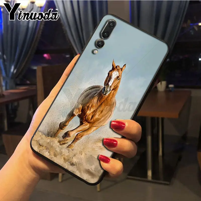 Hot running Horses animal