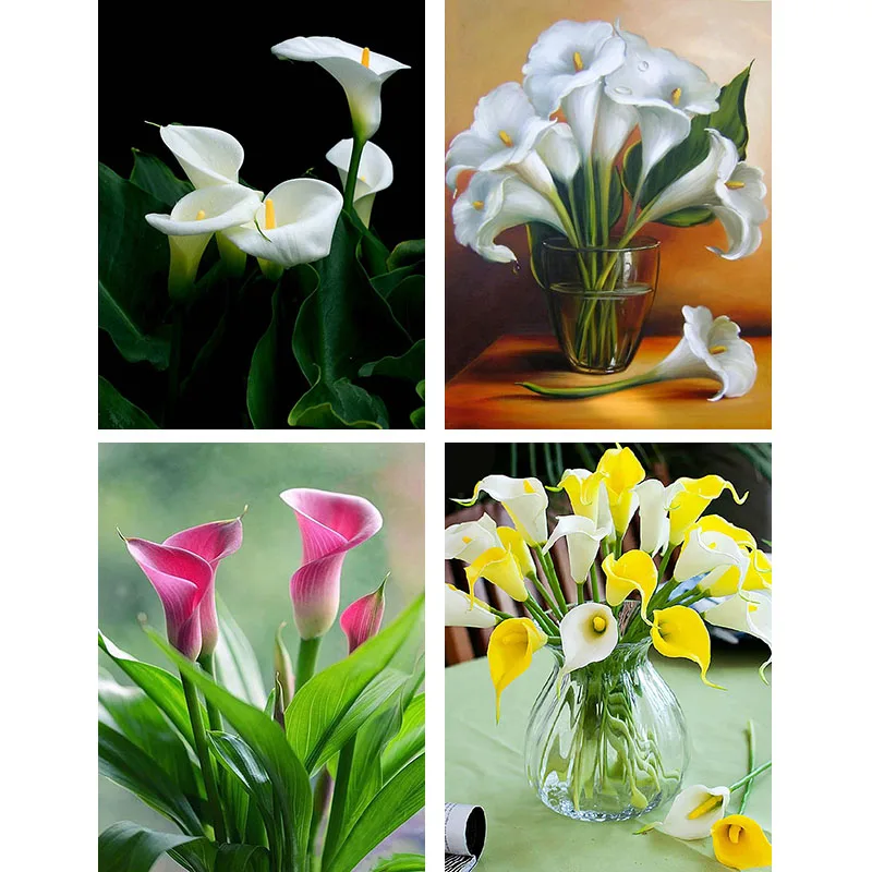 Камни в форме ромба изображение с круглыми алмазами Calla Lily Новое поступление