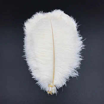 

8-10 Inch 20-25cm 20pcs Frist-Grade Ostrich Feathers for DIY Jewelry Craft Making