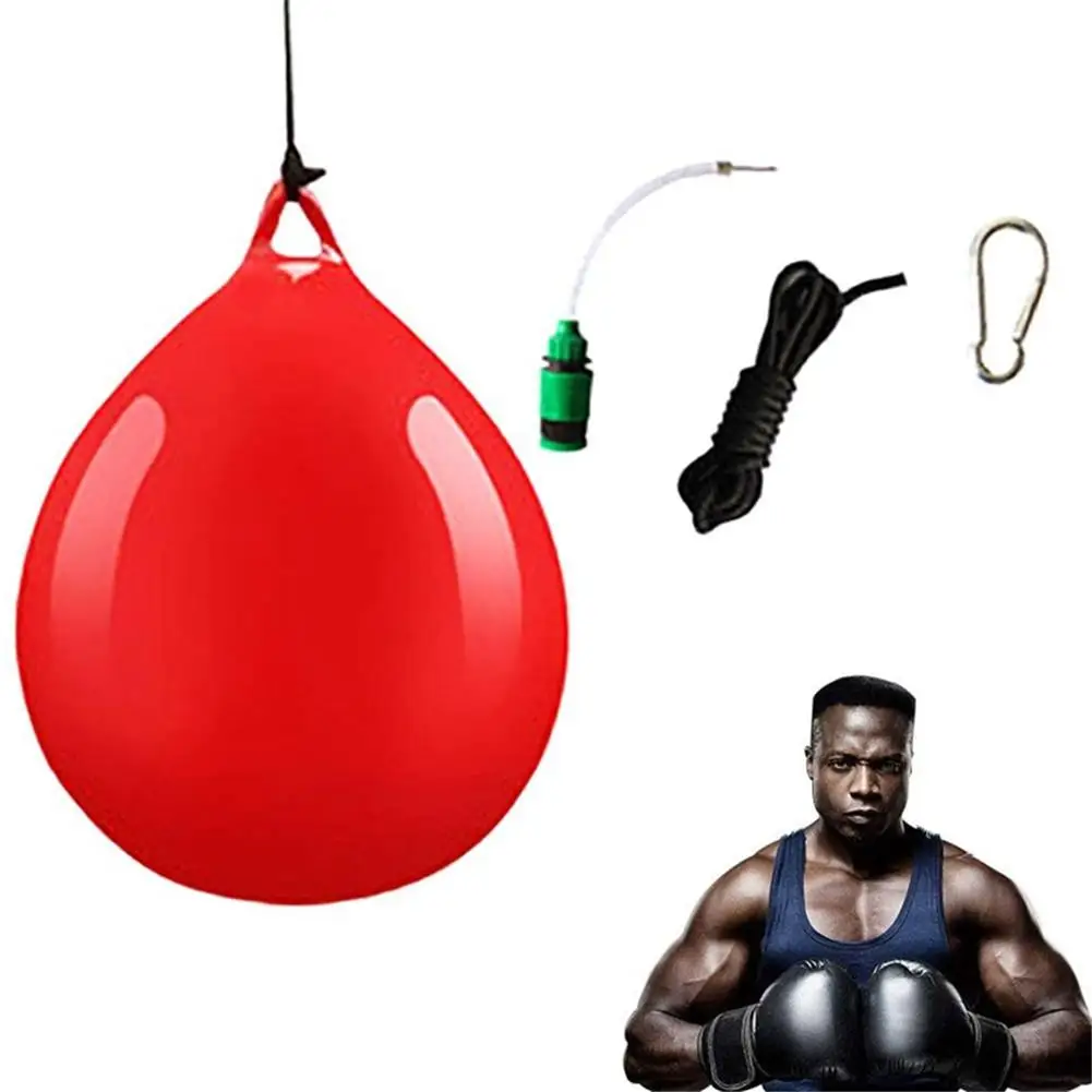 Dicks Punching Bag