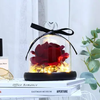 

Decorative Rose LED Night Lamps Glass Cover Copper Wire Light Valentines Wedding Gifts Battery Powered Holiday Lighting