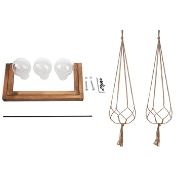 

Plant Terrarium with Wooden Stand Glass Vase Holder with 2 Pack 48 Inch Plant Hanger Flower Pot Plant Holder