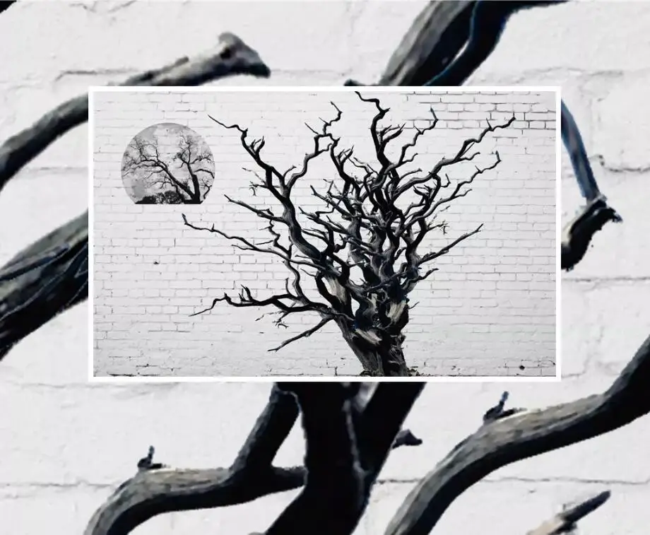 utensílios para pintura e tratamento de parede