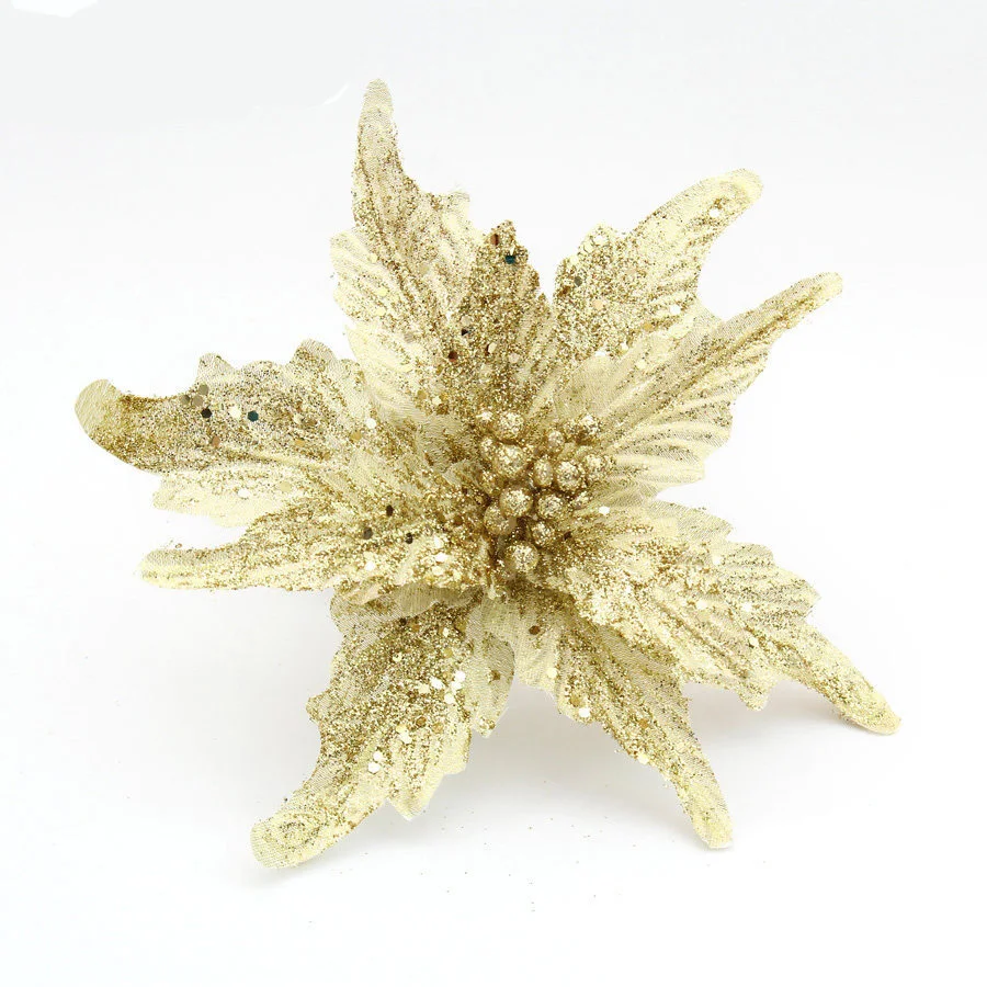 3423295604_109791469