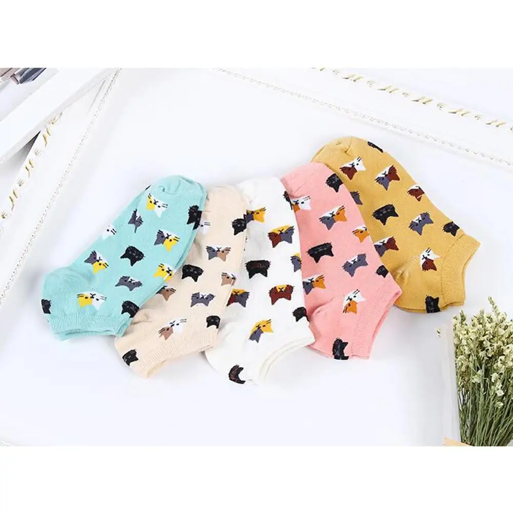HobbyLane нескользящие носки для верховой езды, 5 пар/много милых носков с животными, женские летние корейские забавные короткие носки с котом