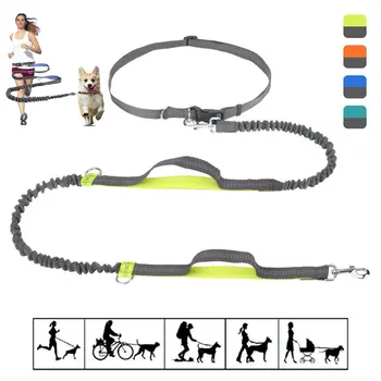 

Night Reflective Retractable Hands Free Dog Leash Adjustable Waist Belt with Dual Bungees for Running Walking Hiking Biking