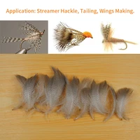 Natural Barred Mallard Duck Flank Feathers 50PCS/Bag 4