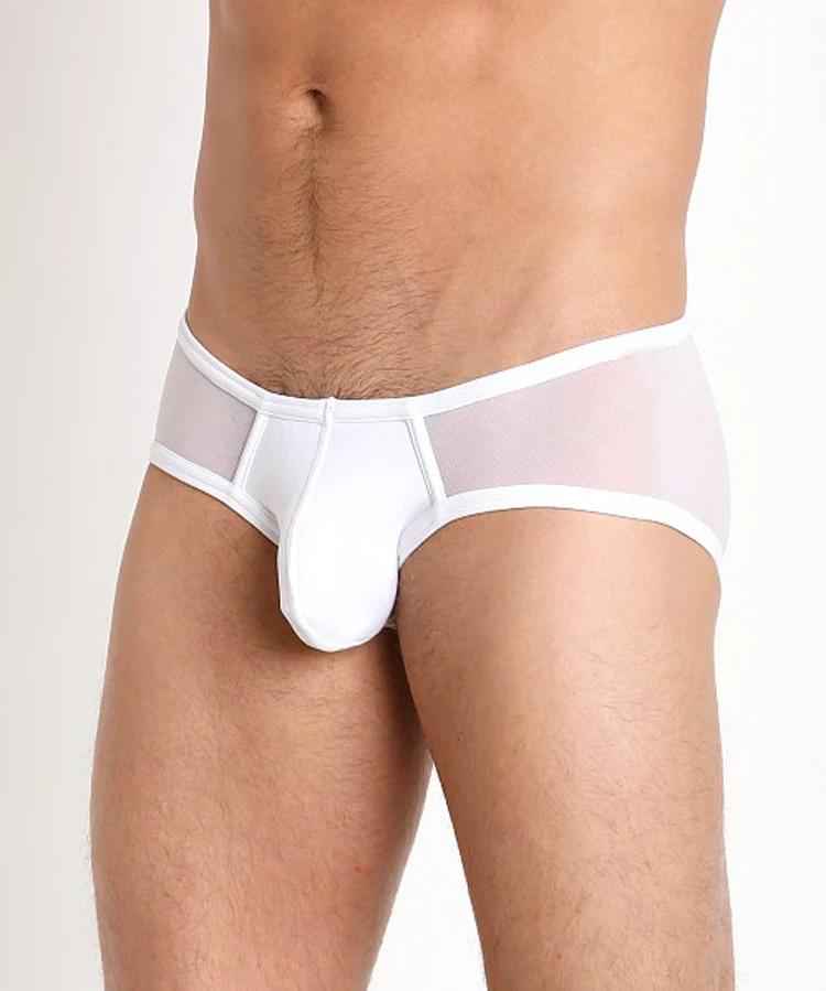 New male transparent mesh briefs three-dimensional U pouch low-waist underwear sexy yarn |